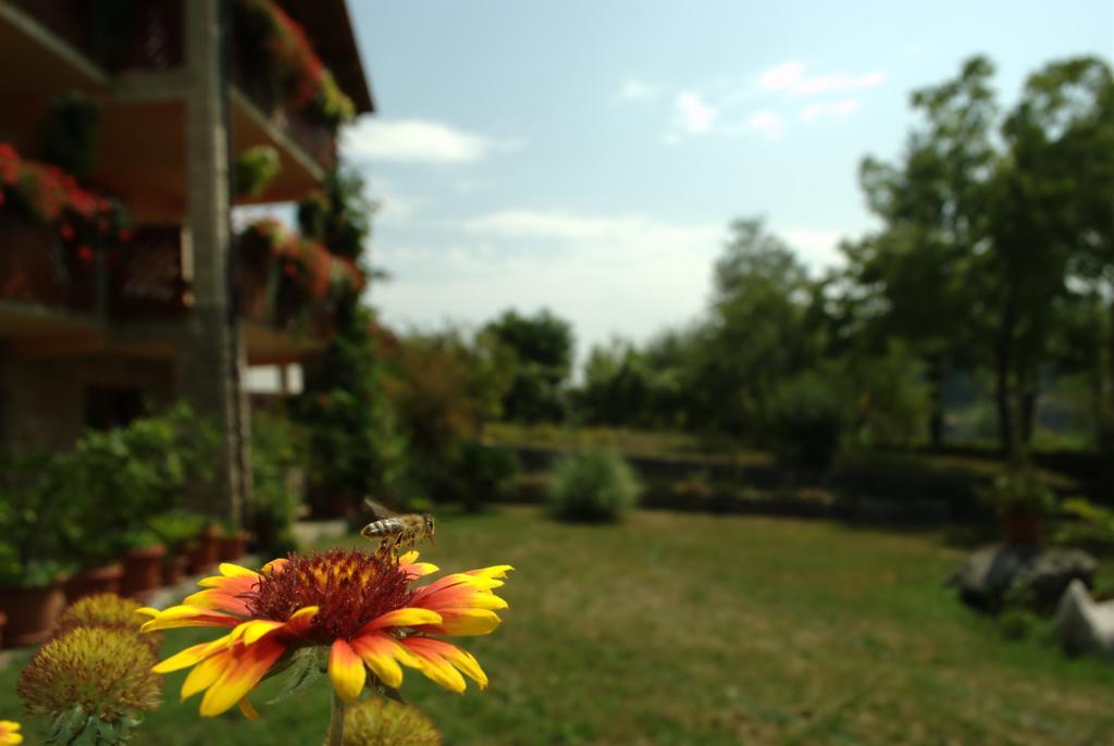 Guest House Nena Rastoke Slunj Exterior foto